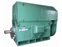 银川Y系列6KV高压电机